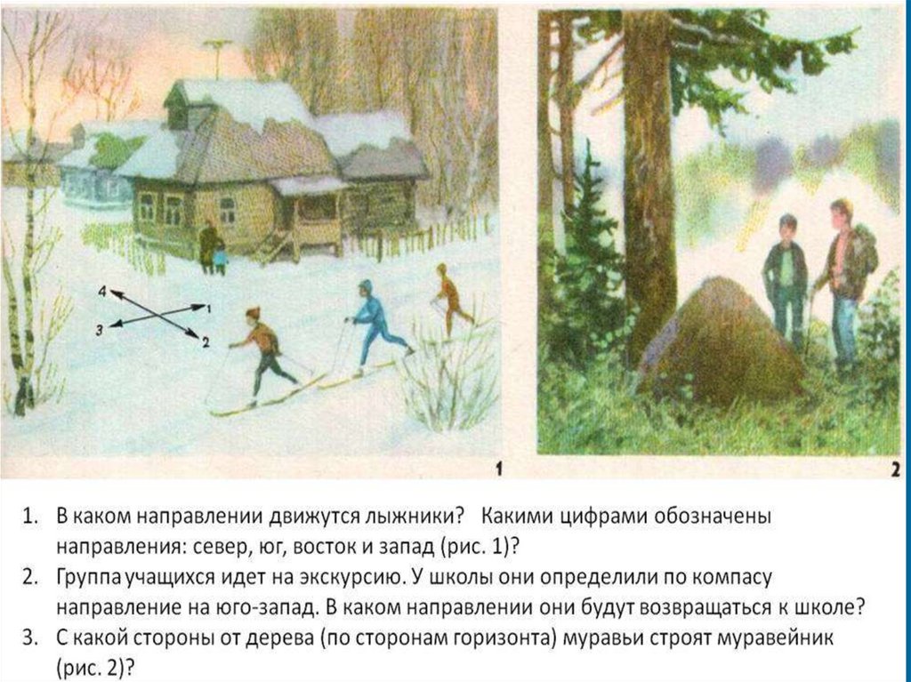 В каком направлении вы будете возвращаться домой. В каком направлении двигаться. Определите по следам в какую сторону прошли лыжники. Тест в какую сторону движутся деревья. В каком направлении движется общество.