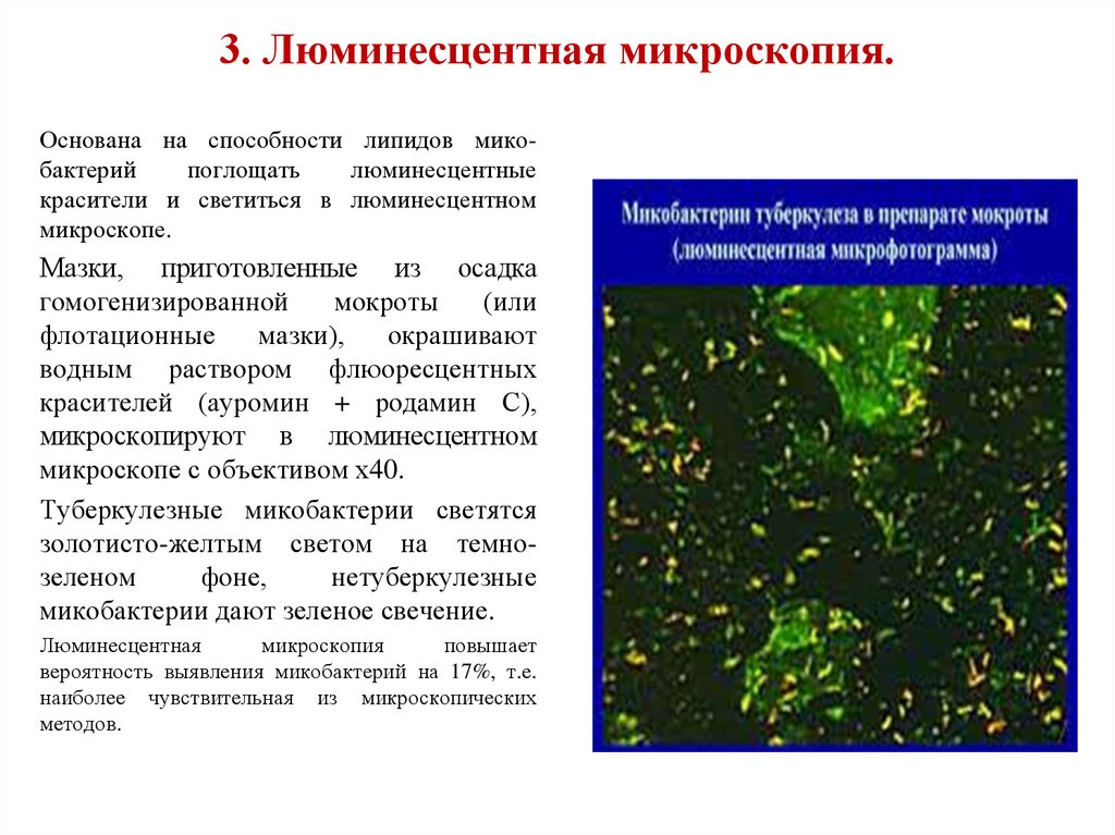 Метод люминесцентной микроскопии