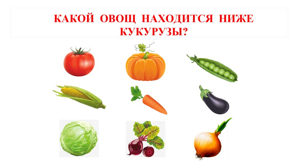 какой овощ находится ниже кукурузы?