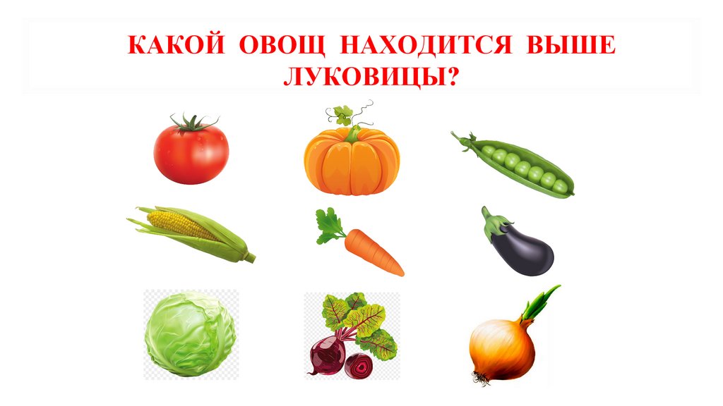 какой овощ находится выше луковицы?