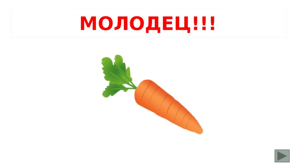 МОЛОДЕЦ!!!