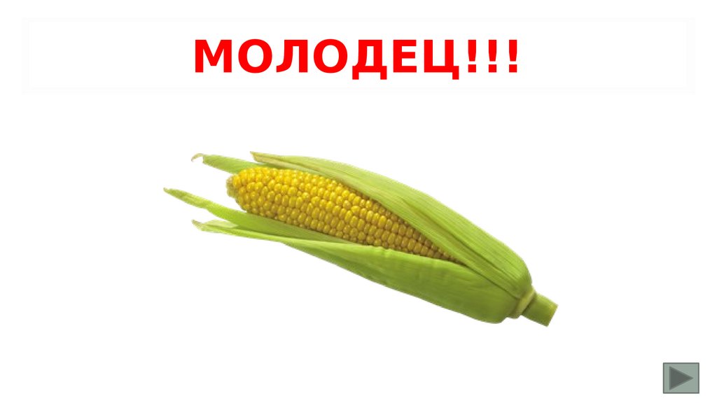 МОЛОДЕЦ!!!
