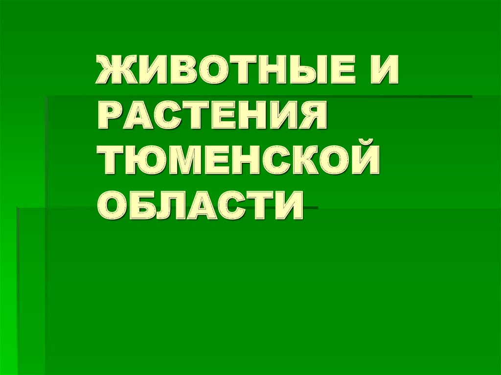 Животные тюменской области презентация