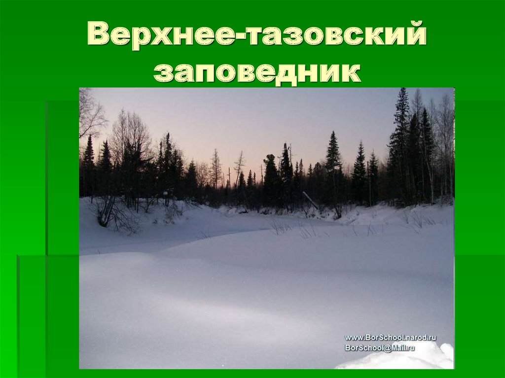 Презентация заповедники тюменской области