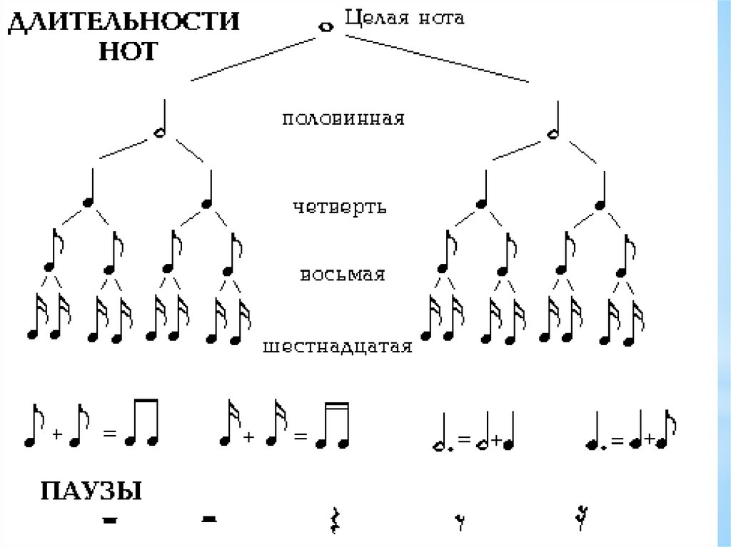 Сравнение нот 12 и нот 13. Длительности нот таблица. Длительности нот и пауз таблица. Таблица деления длительностей нот. Таблица длительностей сольфеджио.