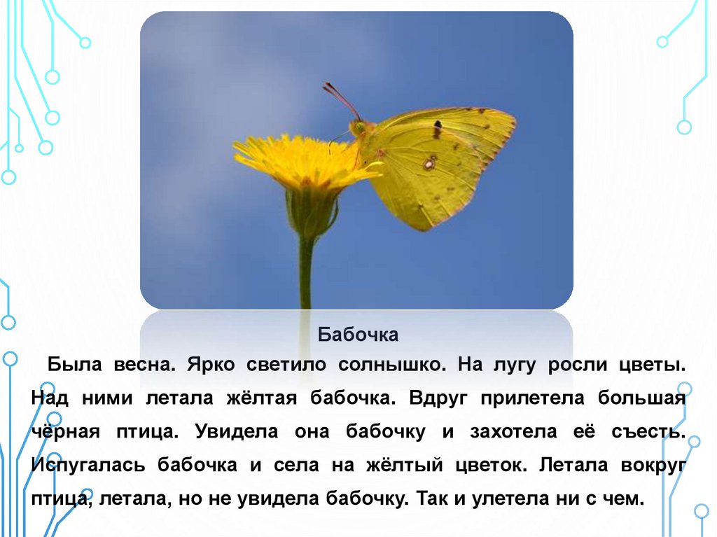 Весной текст ярко светит солнце. Желтая бабочка с ее именем. Жёлтый цветок со звуком р. Ярко светит солнышко блещет на лугу. Летающий жёлтый ара.