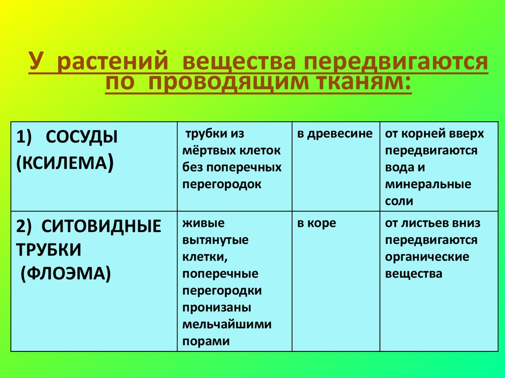 Транспорт веществ у растений значение. Передвижение веществ у растений. Транспорт веществ у растений. Передвижение веществ у растений 6 класс. Передвижение веществ у растений 6 класс биология.