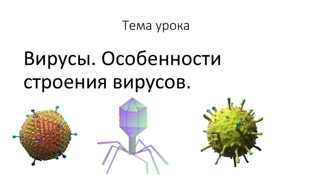Особенности строения и жизнедеятельности вирусов 5 класс