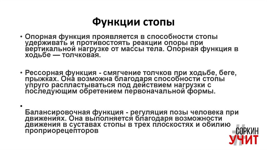 Функции стопы