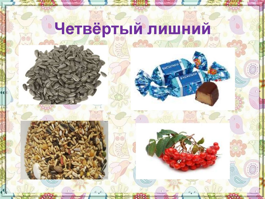 Четвёртый лишний