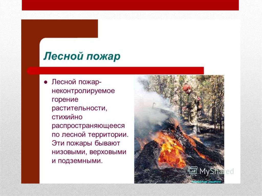 Неконтролируемое горение растительности. Неконтролируемое горение растительности по Лесной территории. ЧС природного характера Республика Алтай. От этого бывает пожар.