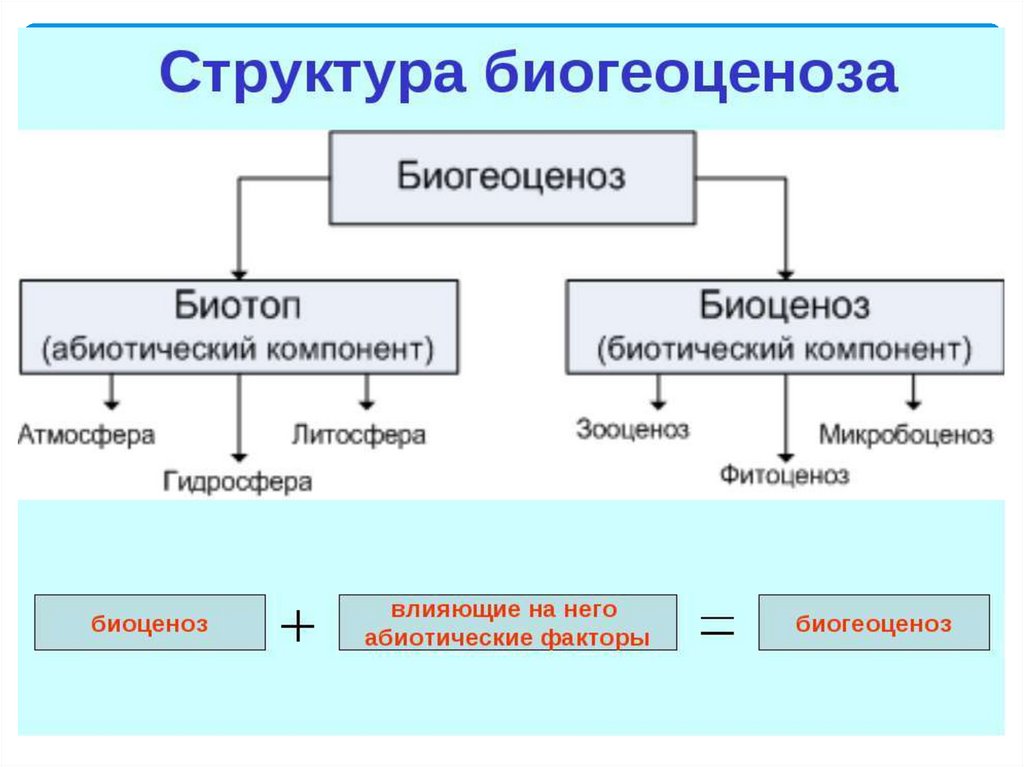 3 к биотическому фактору относится