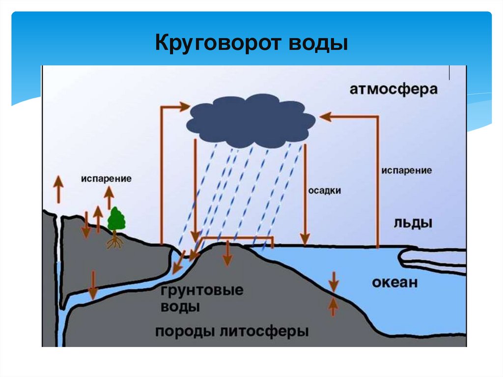 Круговорот воды