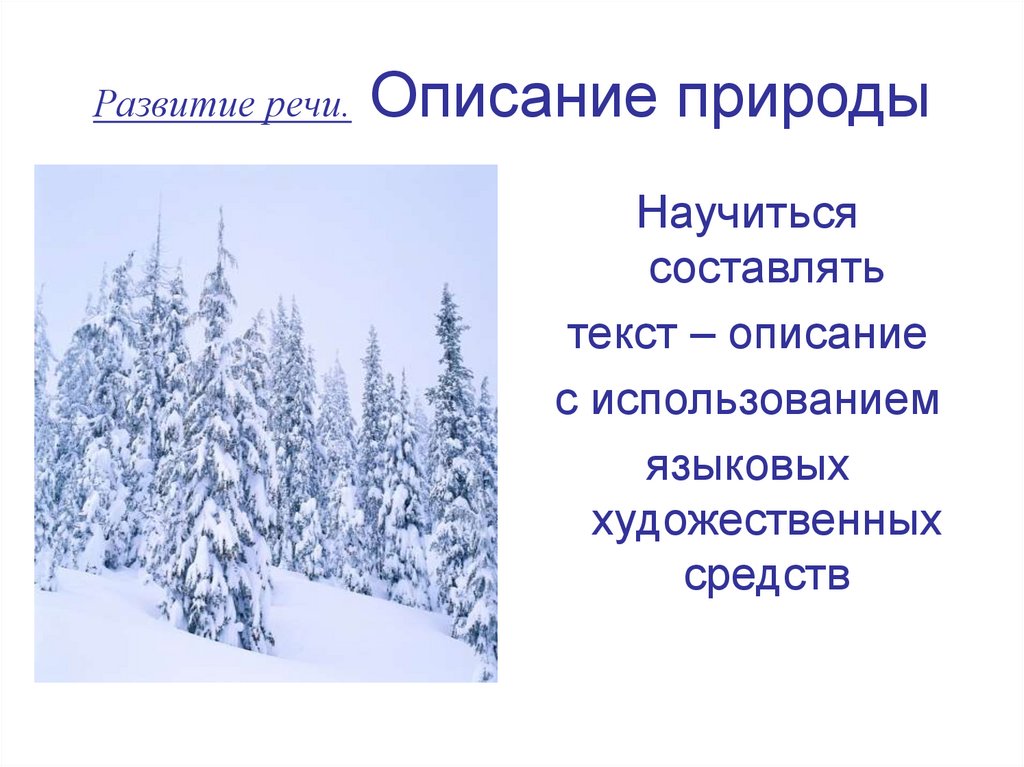 Термин описания природы в литературе