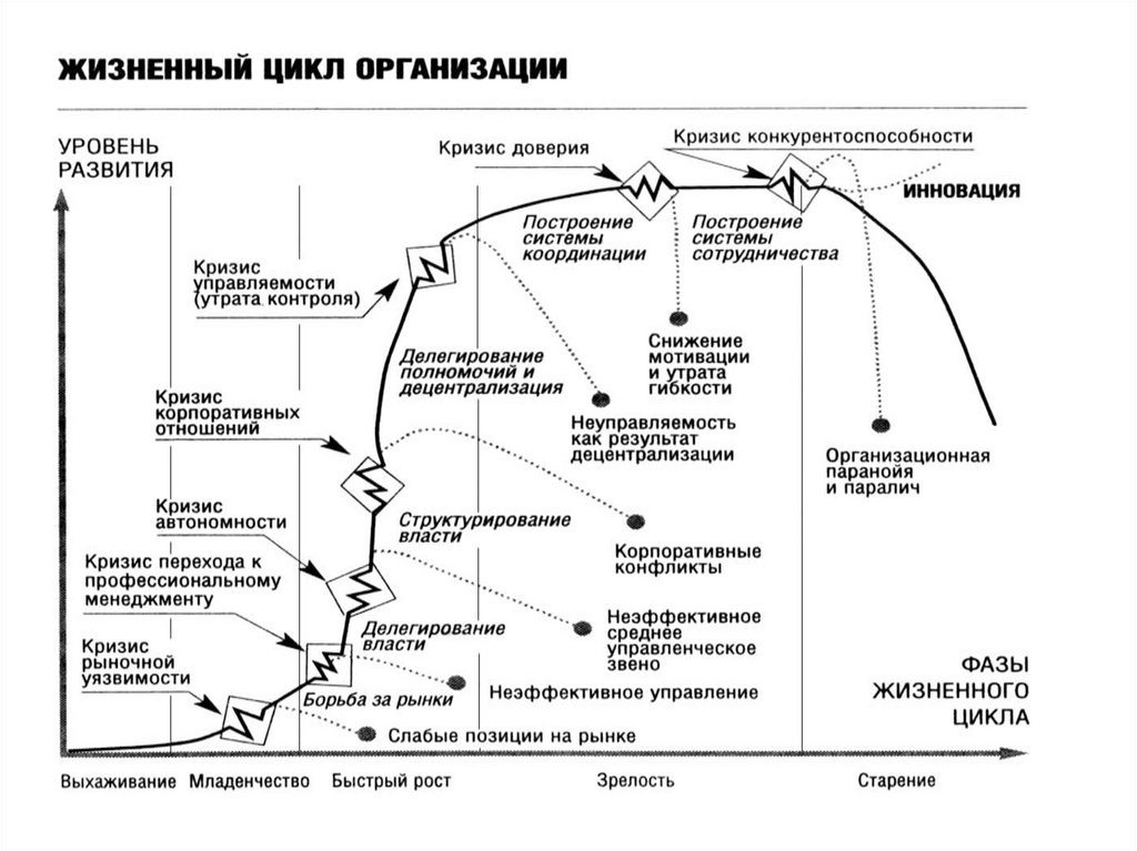 Политика жизненного цикла. Стадии жизненного цикла организации схема. Теория жизненного цикла Адизеса. Этапы жизненного цикла организации таблица. Жизненный цикл организации схема.