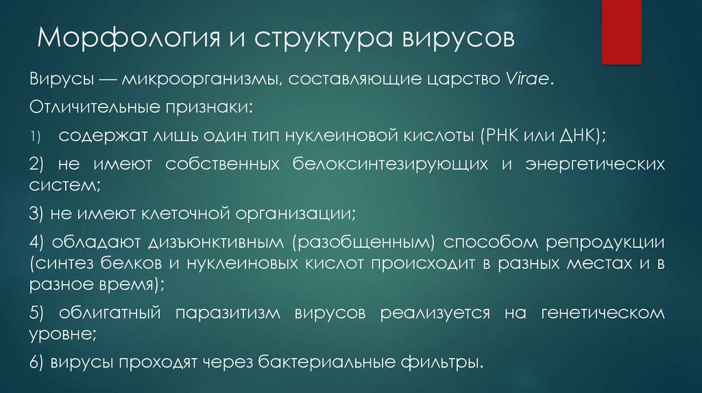 Лишь содержать. Вирусы(virae). Белоксинтезирующий аппарат вирусов. Вирусы относятся к царству virae. Белоксинтезирующие системы у микроорганизмов.