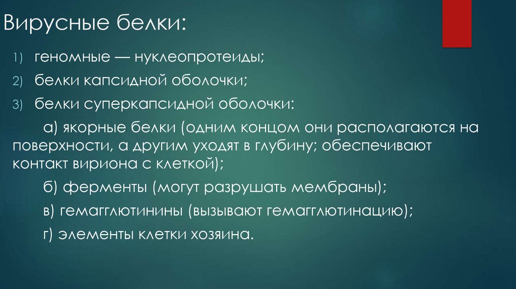 Вирусные белки