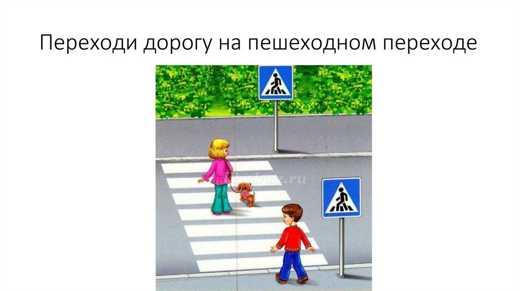 Переходи дорогу на пешеходном переходе