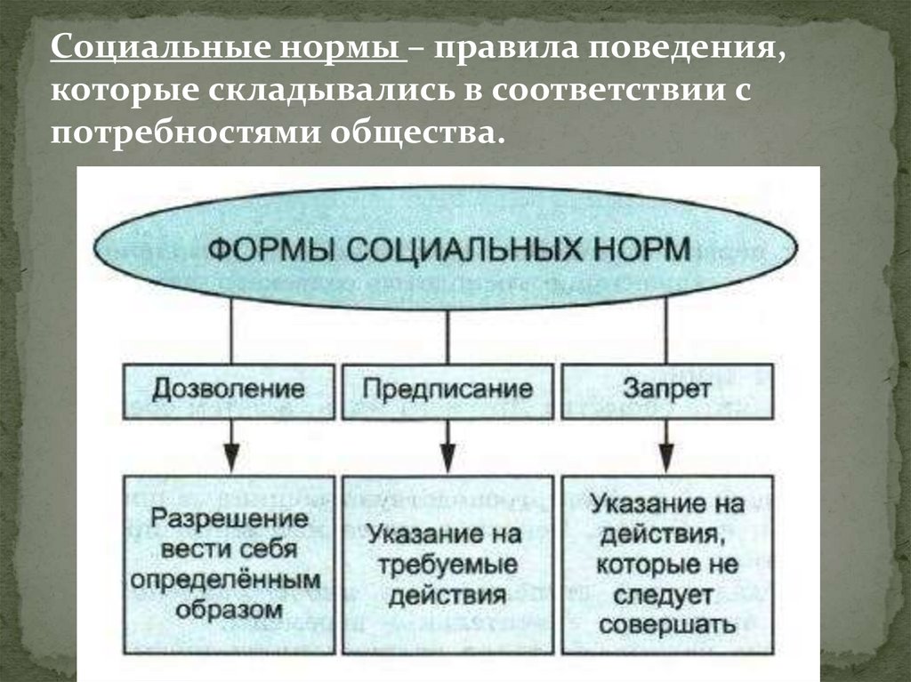 Какие нормы не являются социальными Shtampik.com