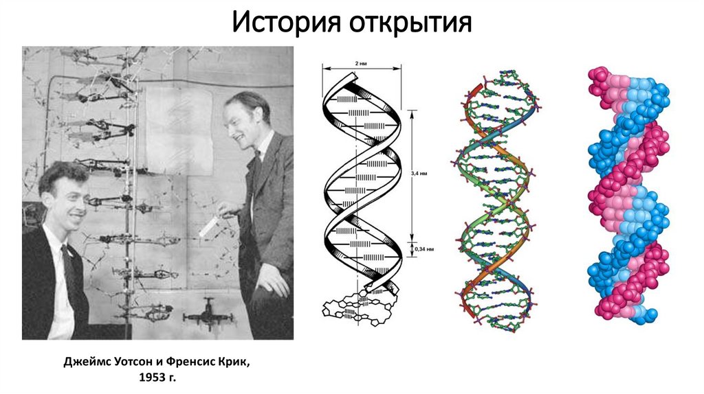 История открытия