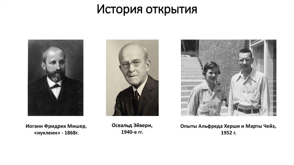 История открытия