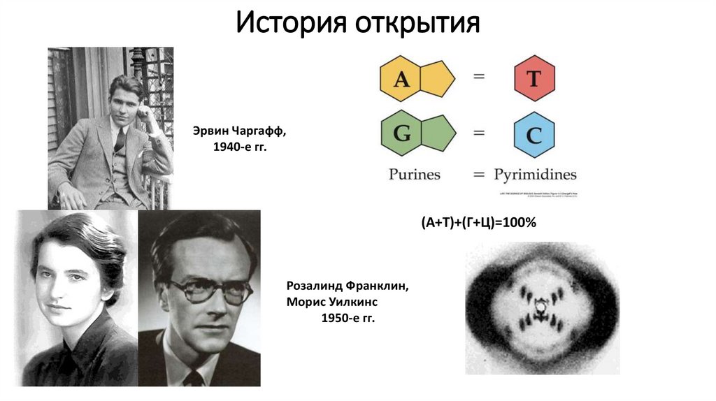 История открытия