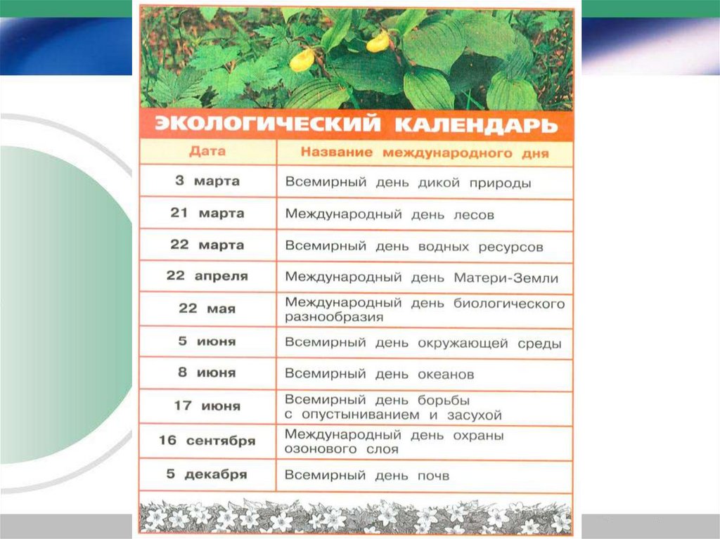 Календарь окружающий мир 4 класс проект