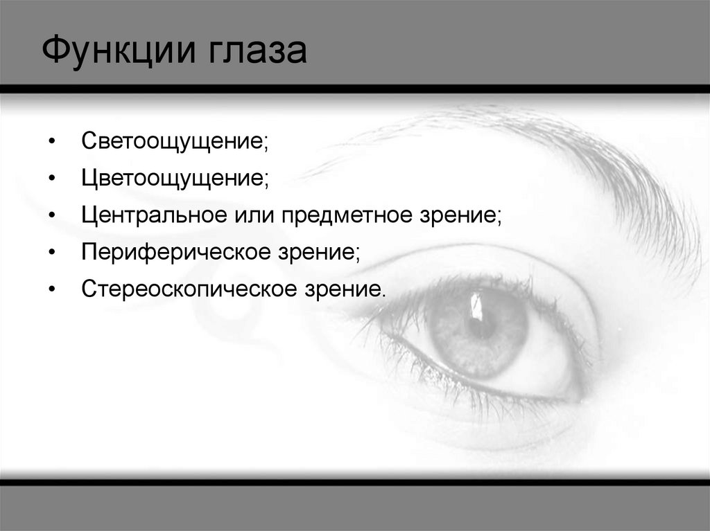 Зрение человека функции. Функции глаза. Функции глаза человека. Основные функции глаза. Основные функции глаза человека.
