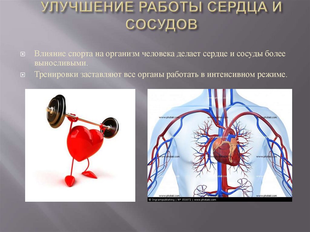 Улучшение работы сердца. Влияние спорта на организм человека. Физика работы сердца
