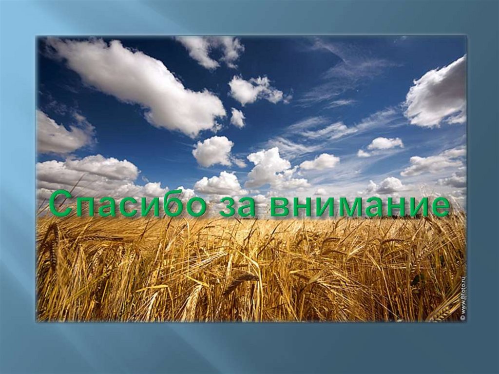 Спасибо за внимание