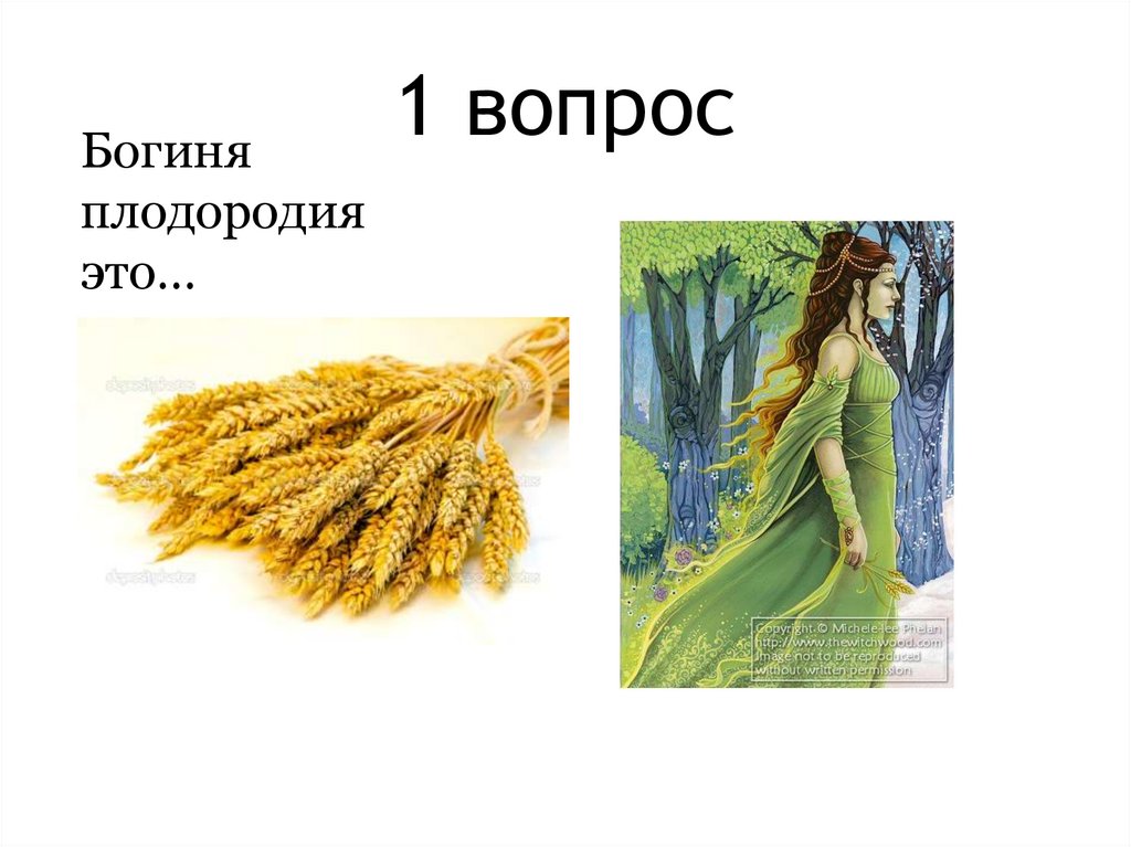 1 вопрос
