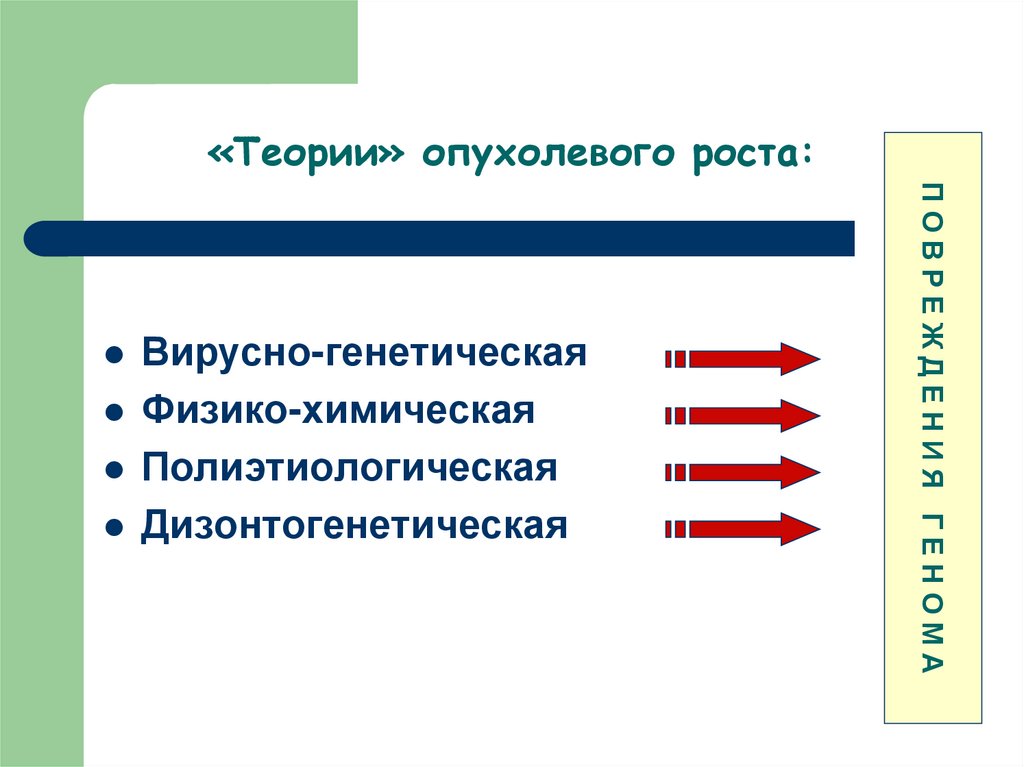 Теория роста. Основные теории опухолевого роста. Современные теории опухолевого роста. Теории генеза опухолевого роста. Теории опухолевого роста патологическая анатомия.