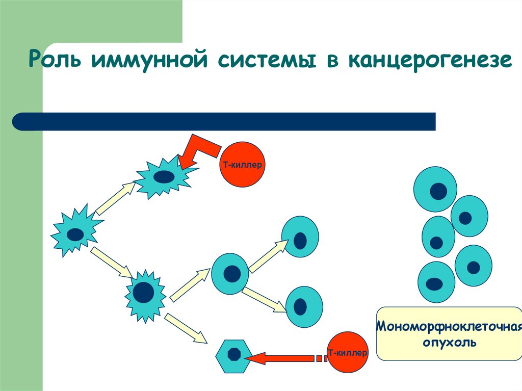 Виды опухолевого роста схема