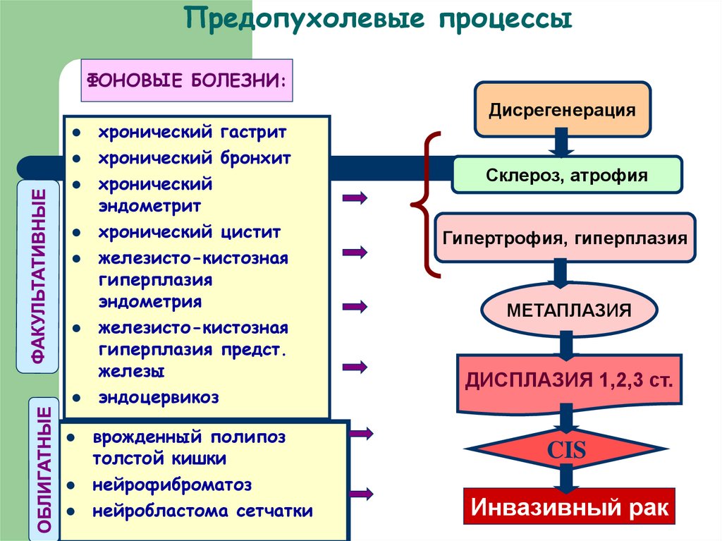 Предопухолевые процессы презентация