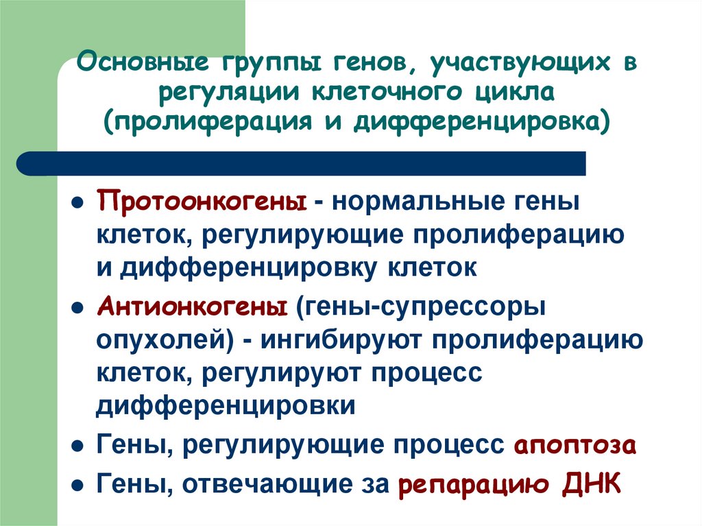 Геном груп. Группы генов. Основные группы генов. Регуляция клеточного цикла. 3 Основные группы генов.