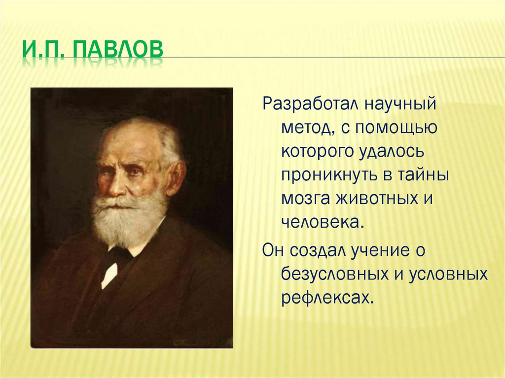 И.П. Павлов