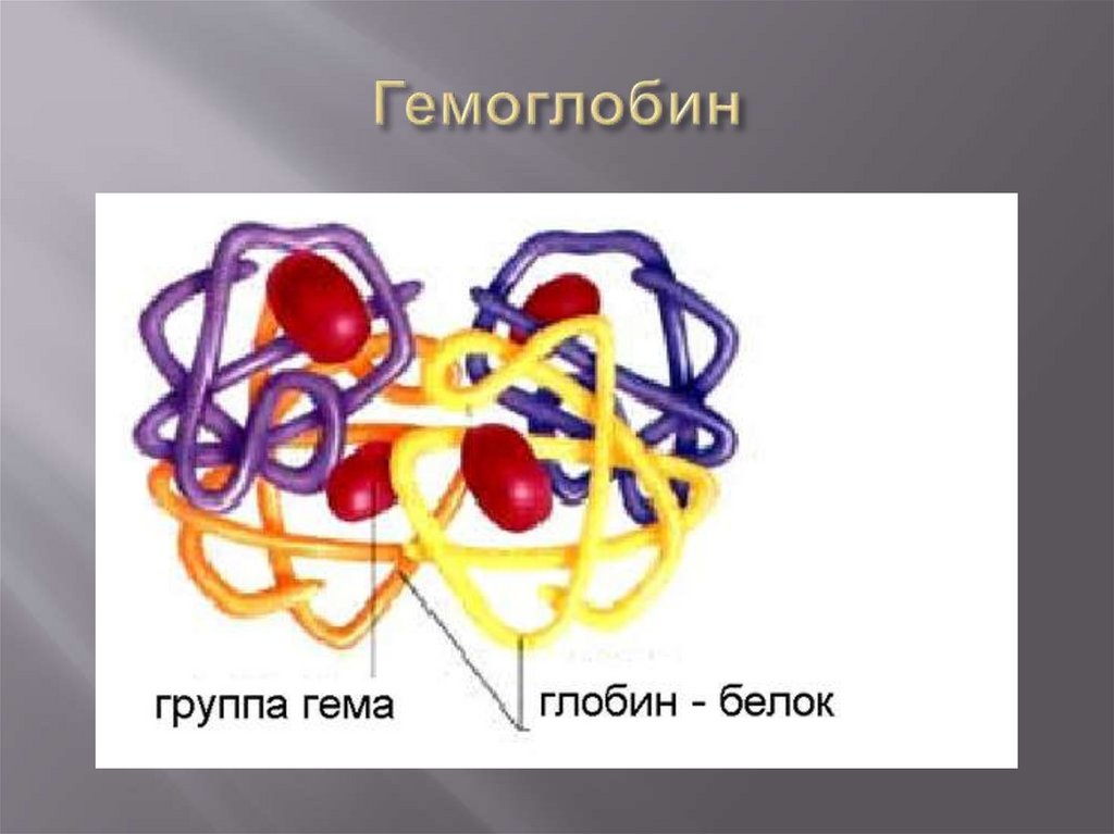Гемоглобин