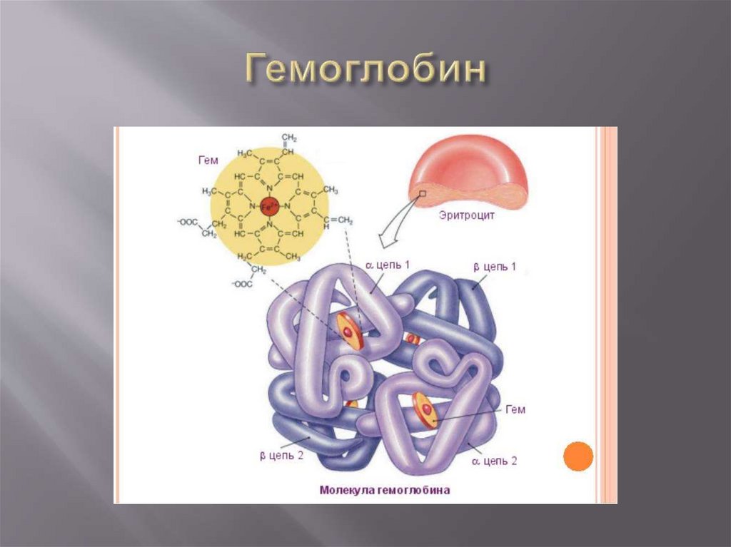 Гемоглобин