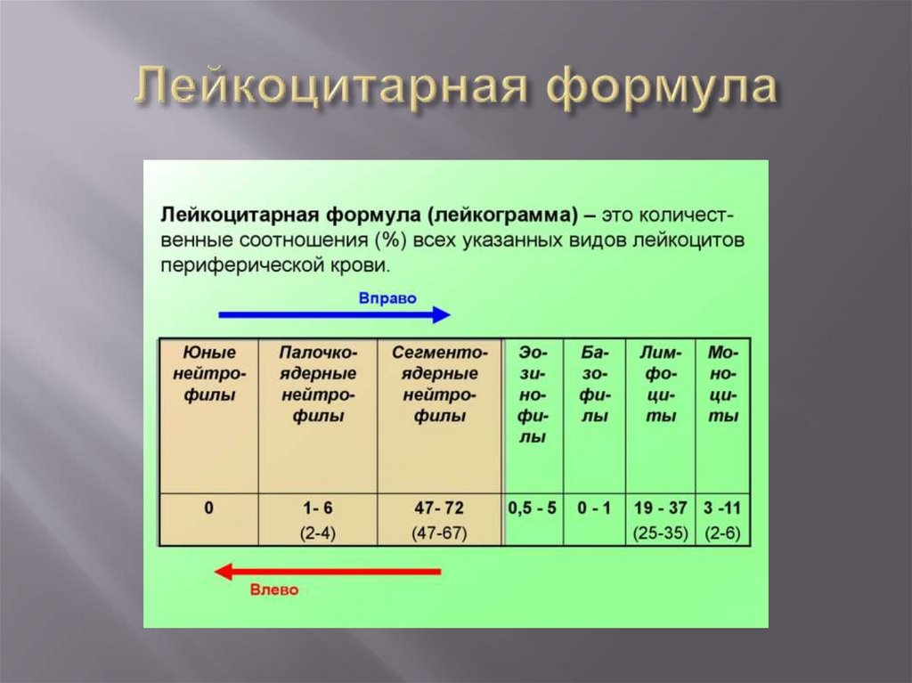 Лейкоцитарная формула