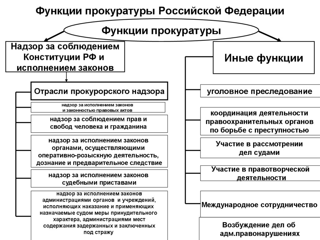 Функции и направления прокурорской деятельности