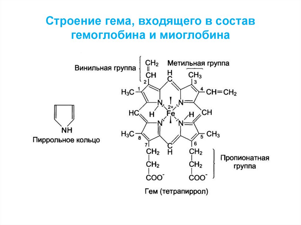 В состав структуры вошли. Строение гемоглобина и миоглобина. Строение гема химия. Гемоглобин формула химическая. Строение гема входящий в состав гемоглобина.