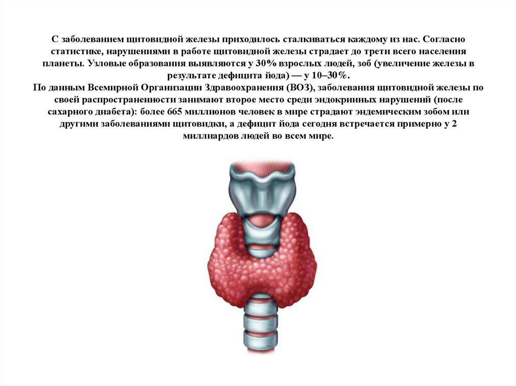 Образование в щитовидной железе