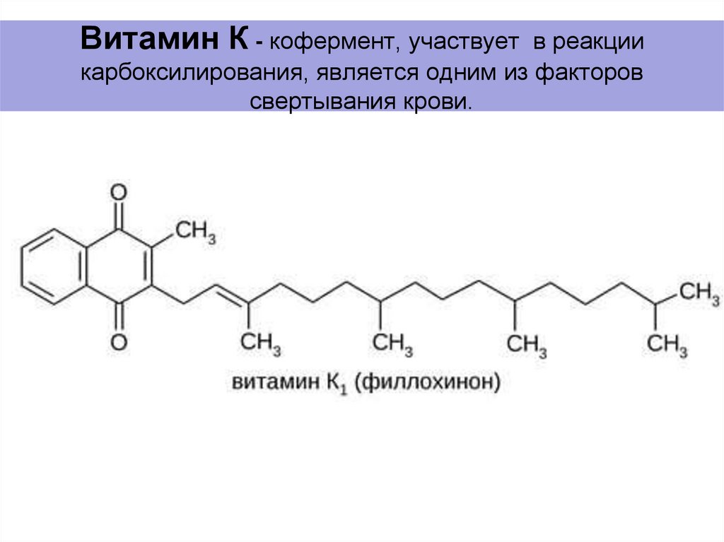 Что такое кофермент. Витамин в11 кофермент формула. Структура кофермента витамина а. Карбоксилирование с коферментом витамина к. Витамин k кофермент.