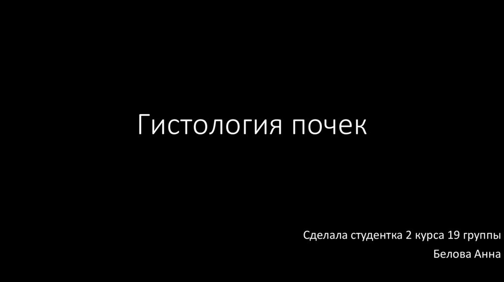 Гистология почки