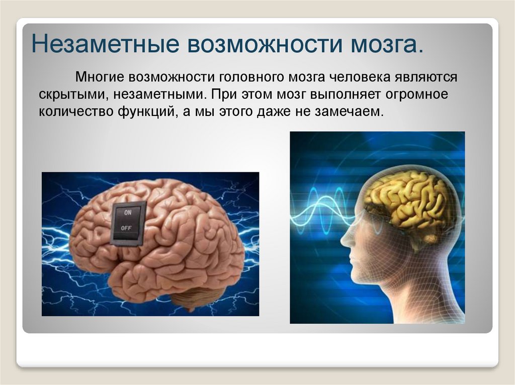 Проект мозг человека. Мозг способность говорить. Неограниченные возможности человеческой речи. Как называется способность мозга понимать.