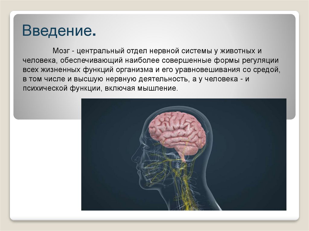 Проект возможности человеческого мозга