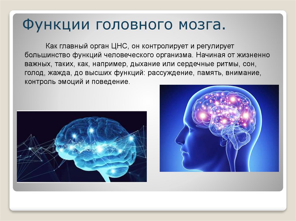 Проект возможности человеческого мозга