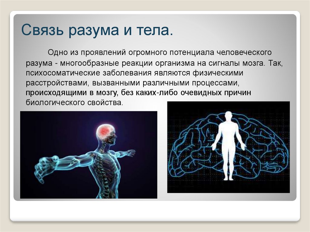 Проект возможности человеческого мозга