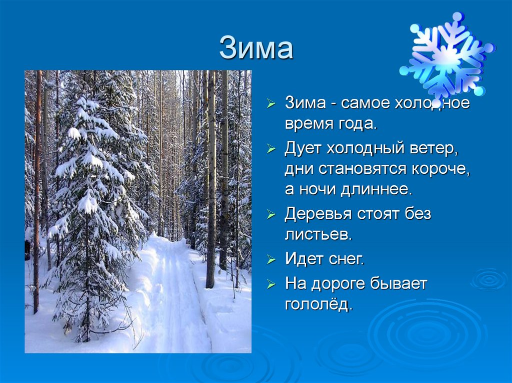 Сочинение зима 6 класс описание зимы. Проект зима. Описание зимы. Любимое время года зима. Описание зимнего времени года.