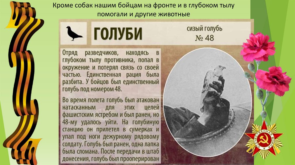 Кроме собак нашим бойцам на фронте и в глубоком тылу помогали и другие животные